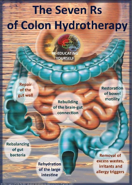 The Crucial Role of a Healthy Colon: Understanding the Detrimental Effects of Colon Back-up