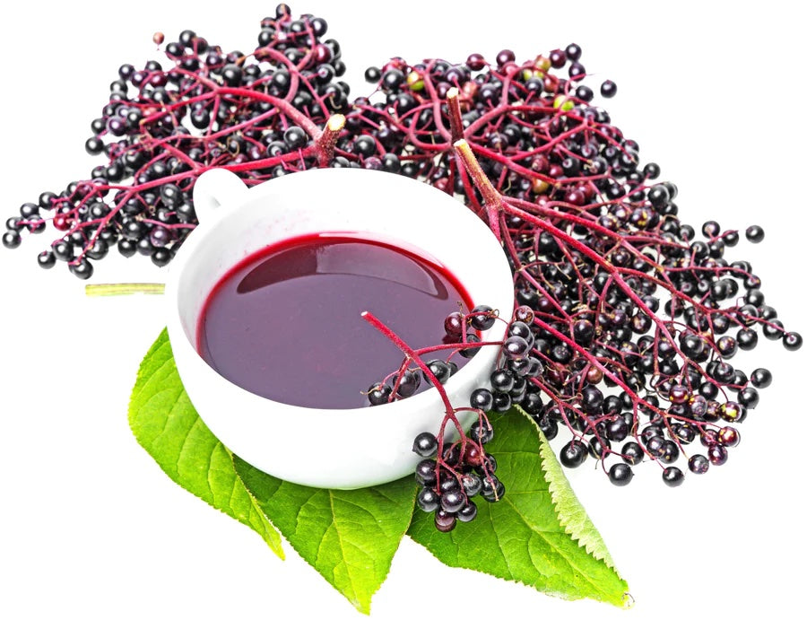 Organic Elderberry Support Tea (4oz)