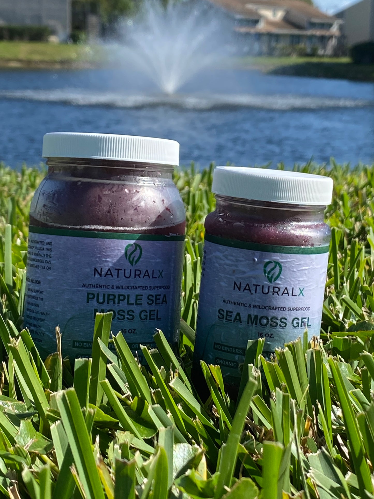 Purple Sea Moss Gel