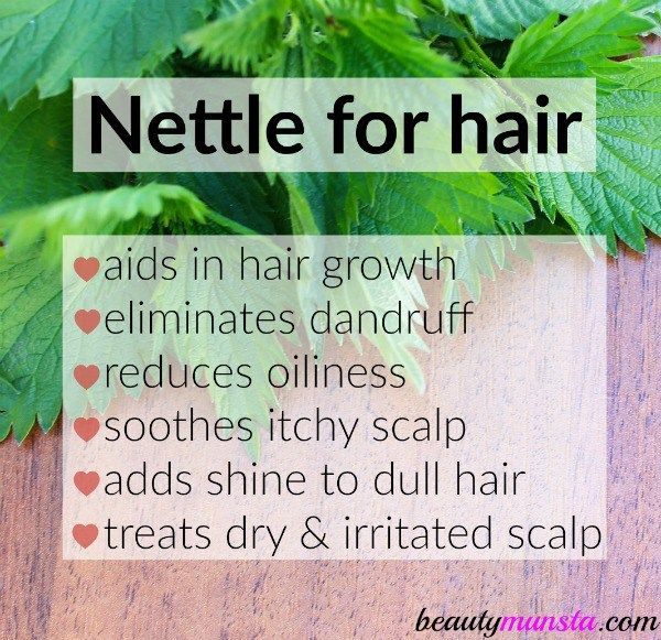 Hair Growth Bundle