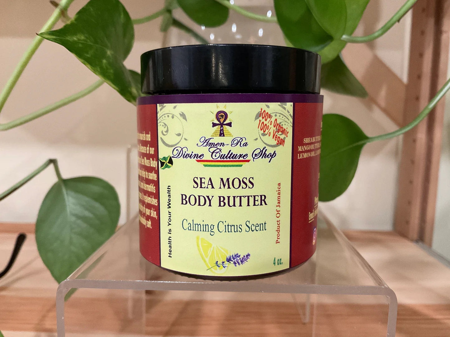 Sea Moss Body Butter Calming Citrus Scent